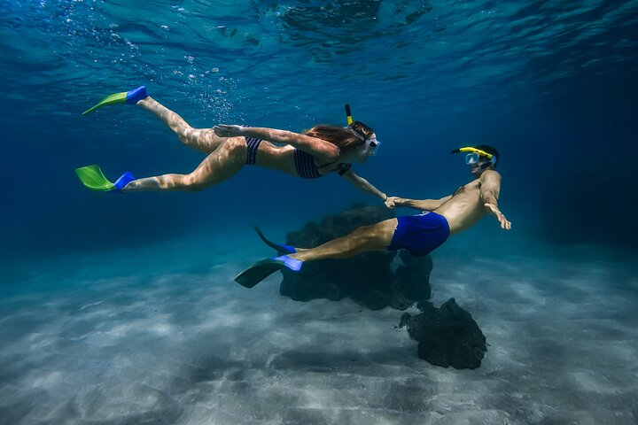 Turtle Town Snorkel With Photo and Video Turtle Guarantee - Photo 1 of 17